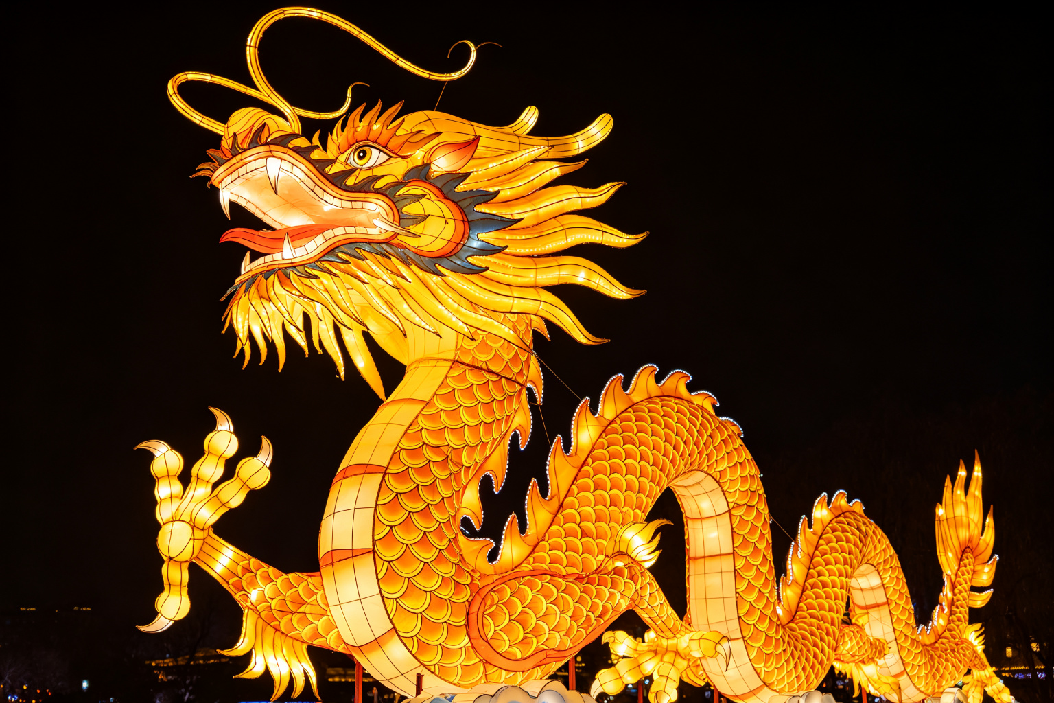 Golden Dragon Lantern Display (ZD-001) - Animal Lanterns by Zedong, dimensions 800x120x350cm