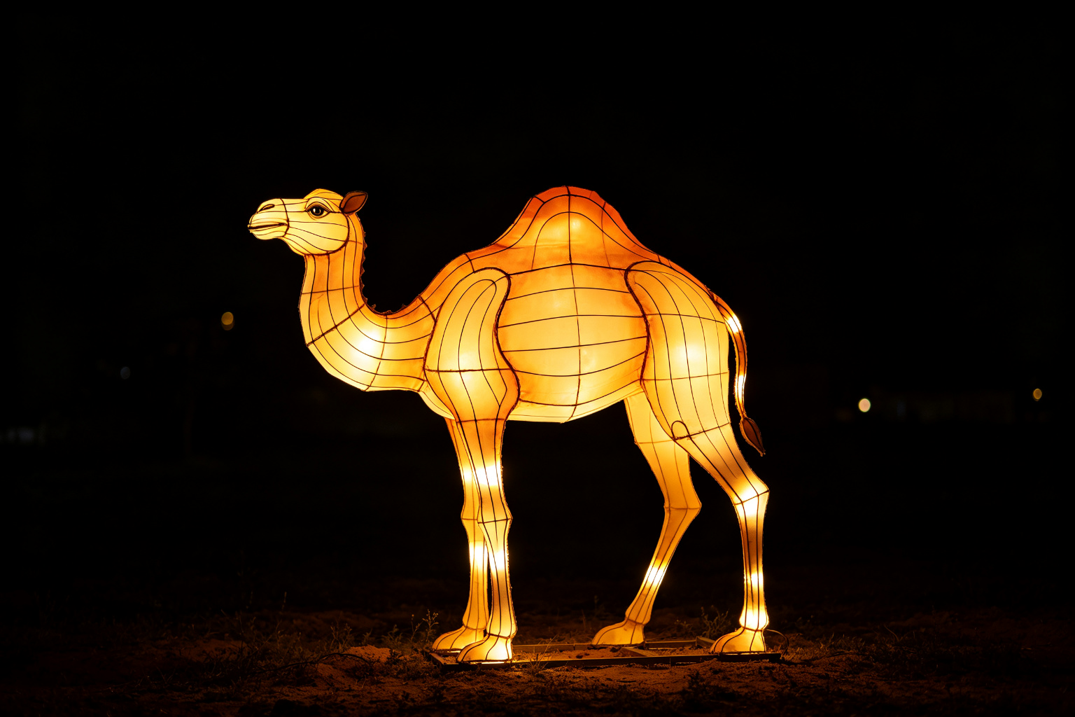 Camel Lantern Display (ZD-013) - Animal Lanterns by Zedong, dimensions 480x140x320cm