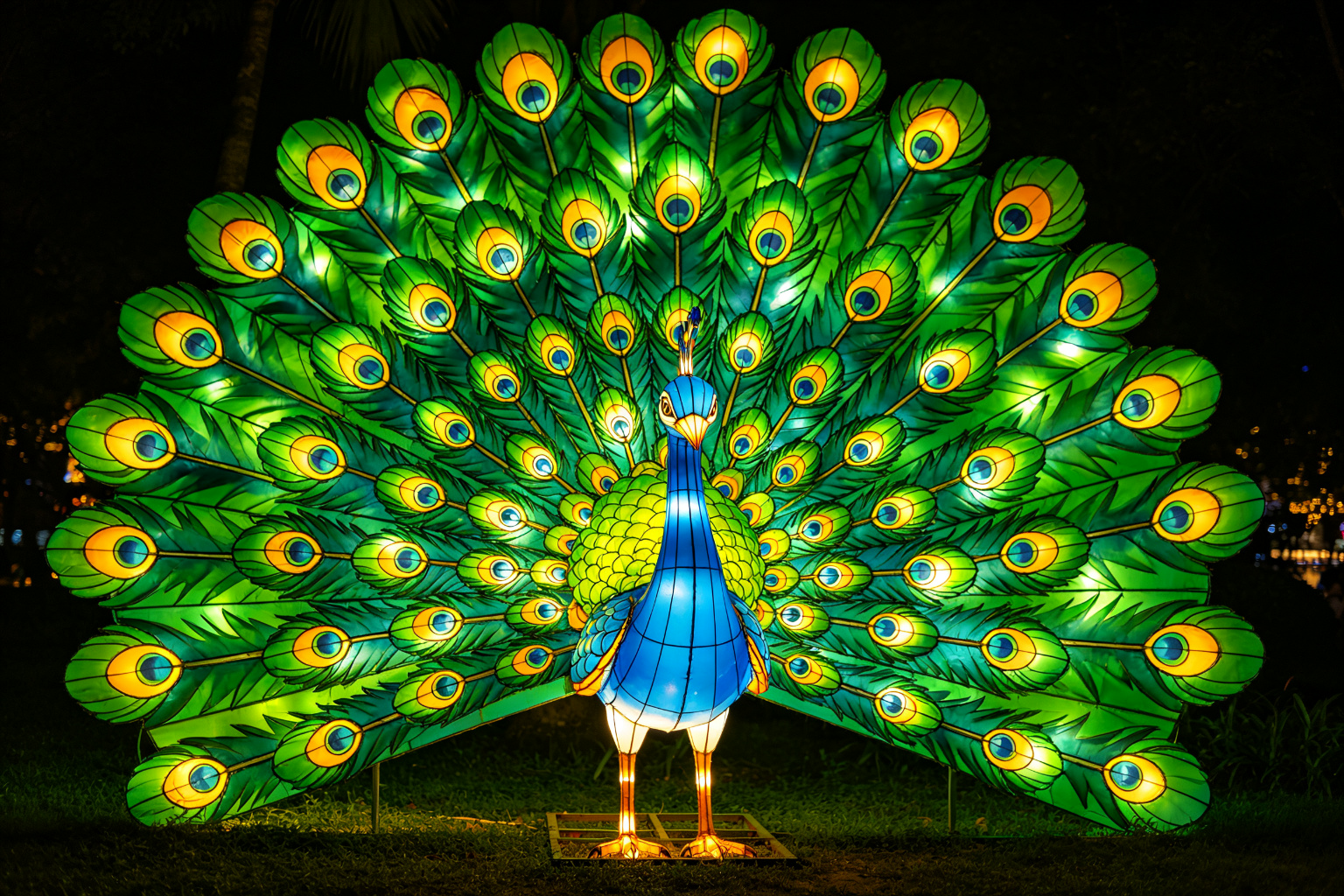 Peacock Lantern Display (ZD-021) - Animal Lanterns by Zedong, dimensions 400x200x350cm