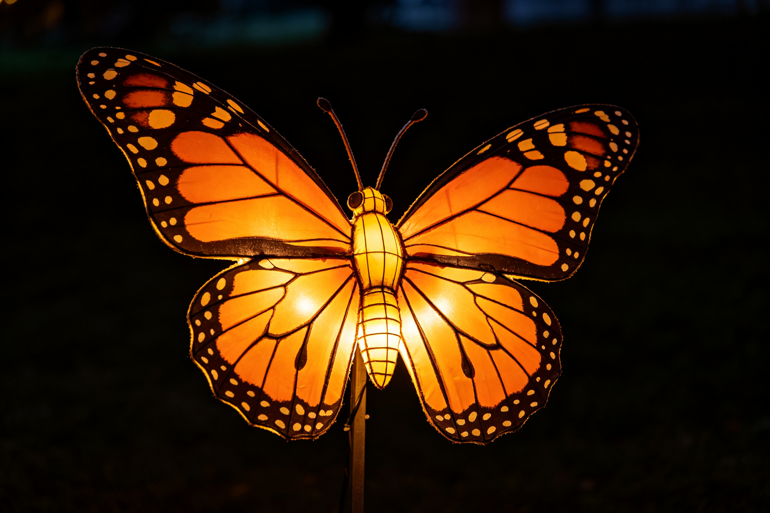 Monarch Butterfly Lantern Display (ZD-033) - Animal Lanterns by Zedong, dimensions 200x50x150cm