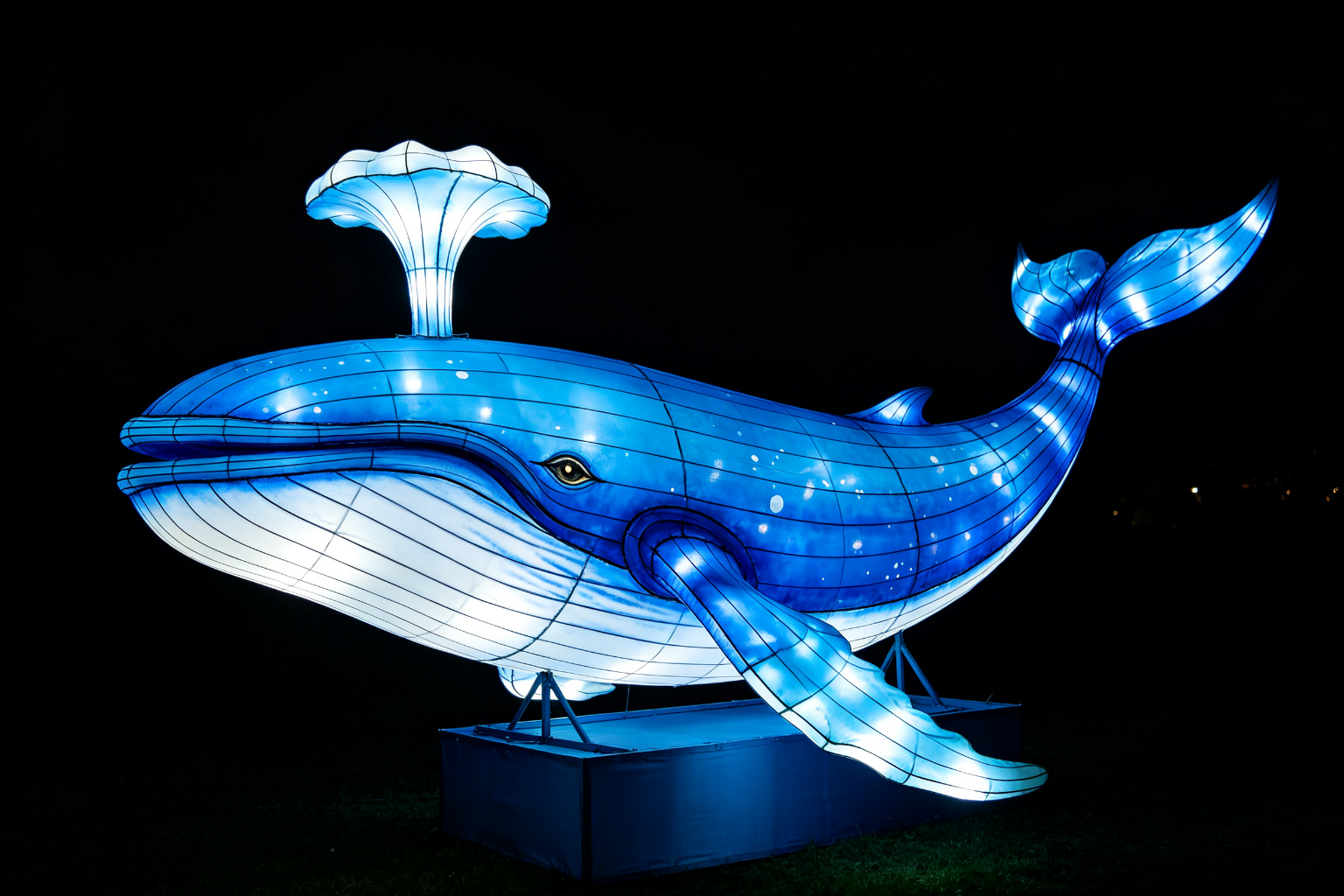 Blue Whale Lantern Display (ZD-039) - Animal Lanterns by Zedong, dimensions 800x150x300cm