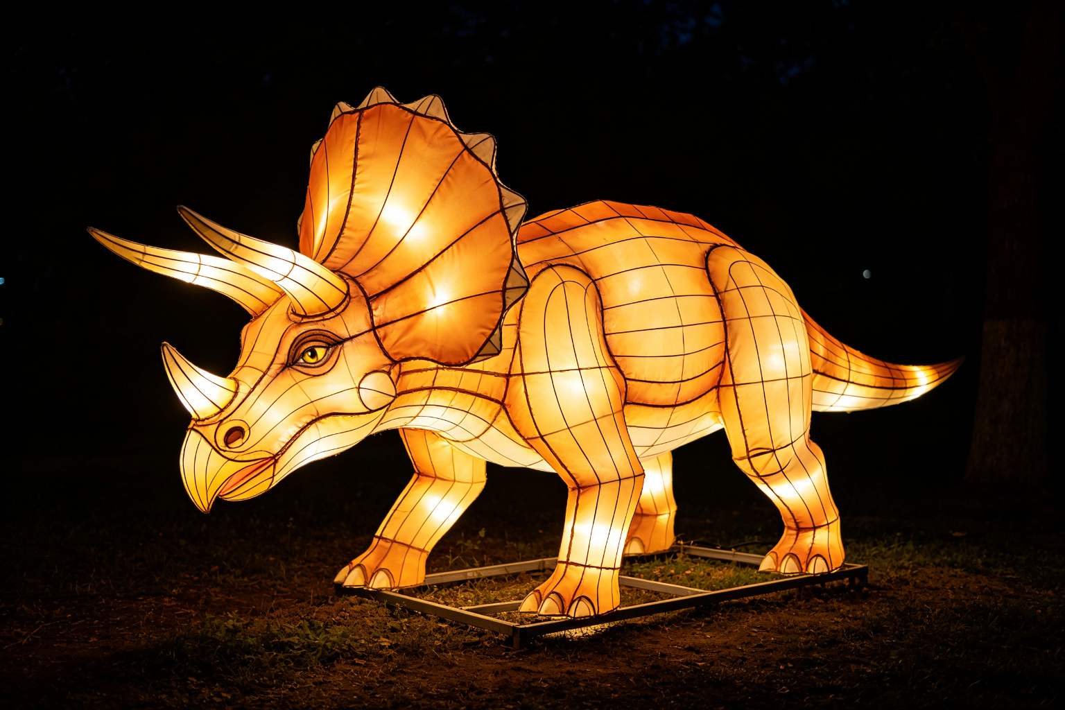 Triceratops Lantern Display (ZD-050) - Animal Lanterns by Zedong, dimensions 500x150x250cm