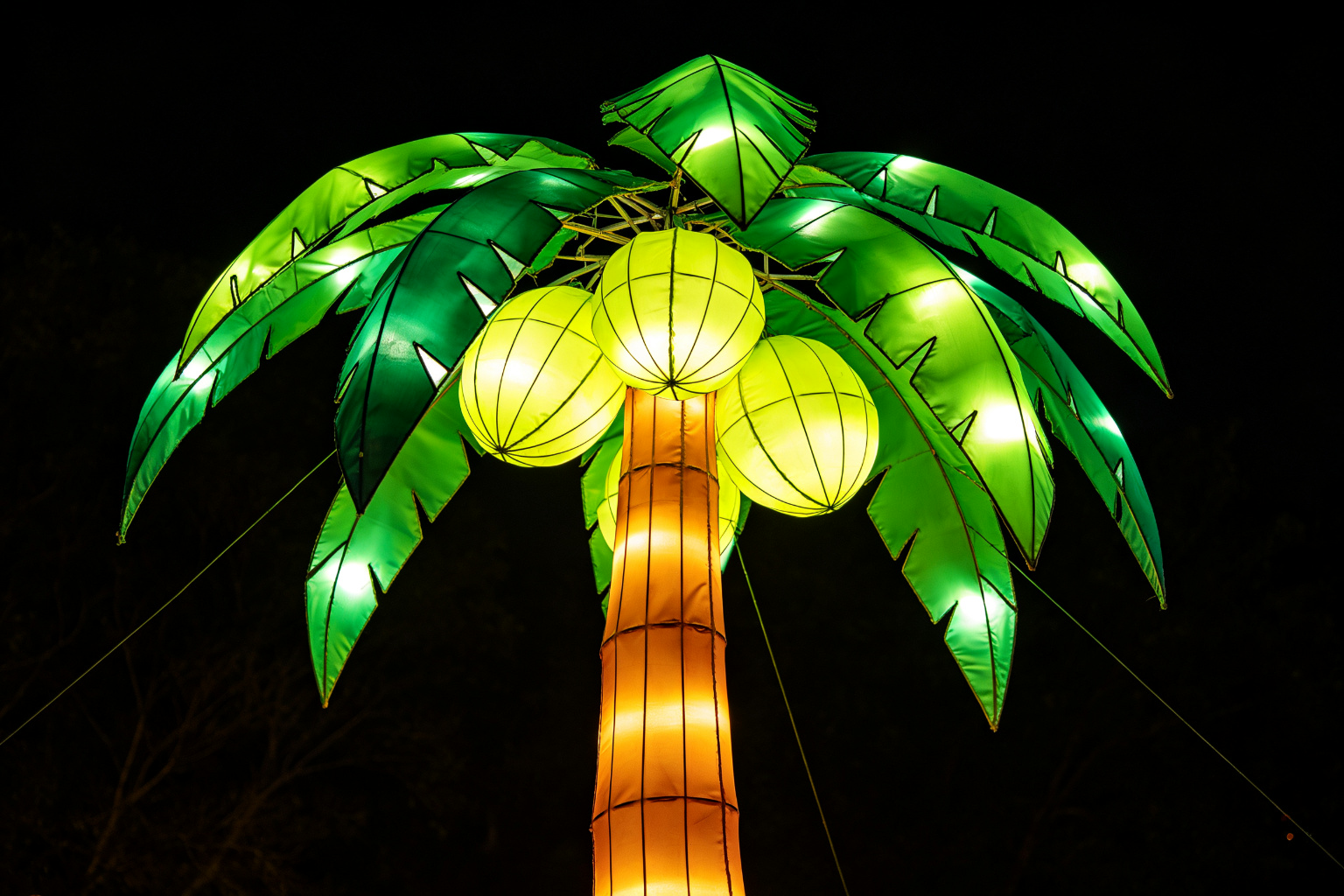 Palm Tree Lantern Display (ZD-069) - Plant & Flower Lanterns by Zedong, dimensions 300x300x600cm