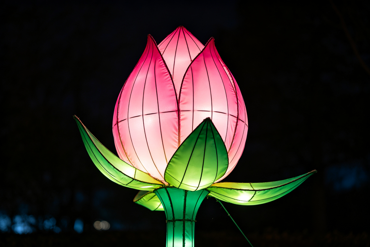 Giant Flower Bud Lantern Display (ZD-075) - Plant & Flower Lanterns by Zedong, dimensions 250x250x350cm