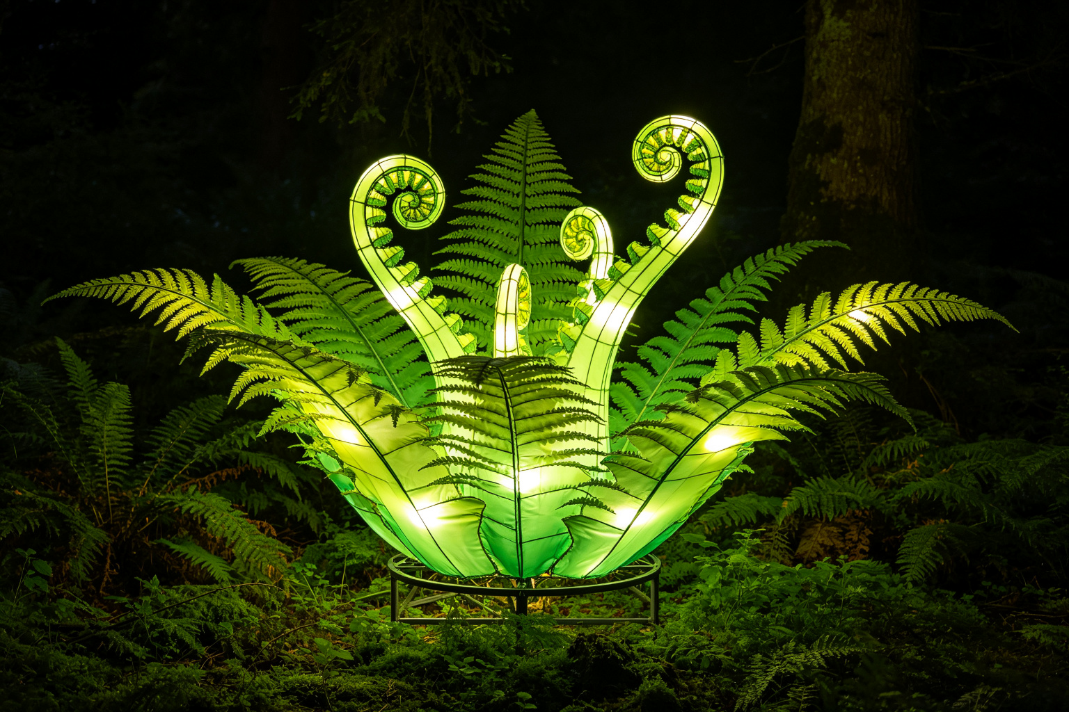 Fern Grove Lantern Display (ZD-080) - Plant & Flower Lanterns by Zedong, dimensions 180x150x200cm