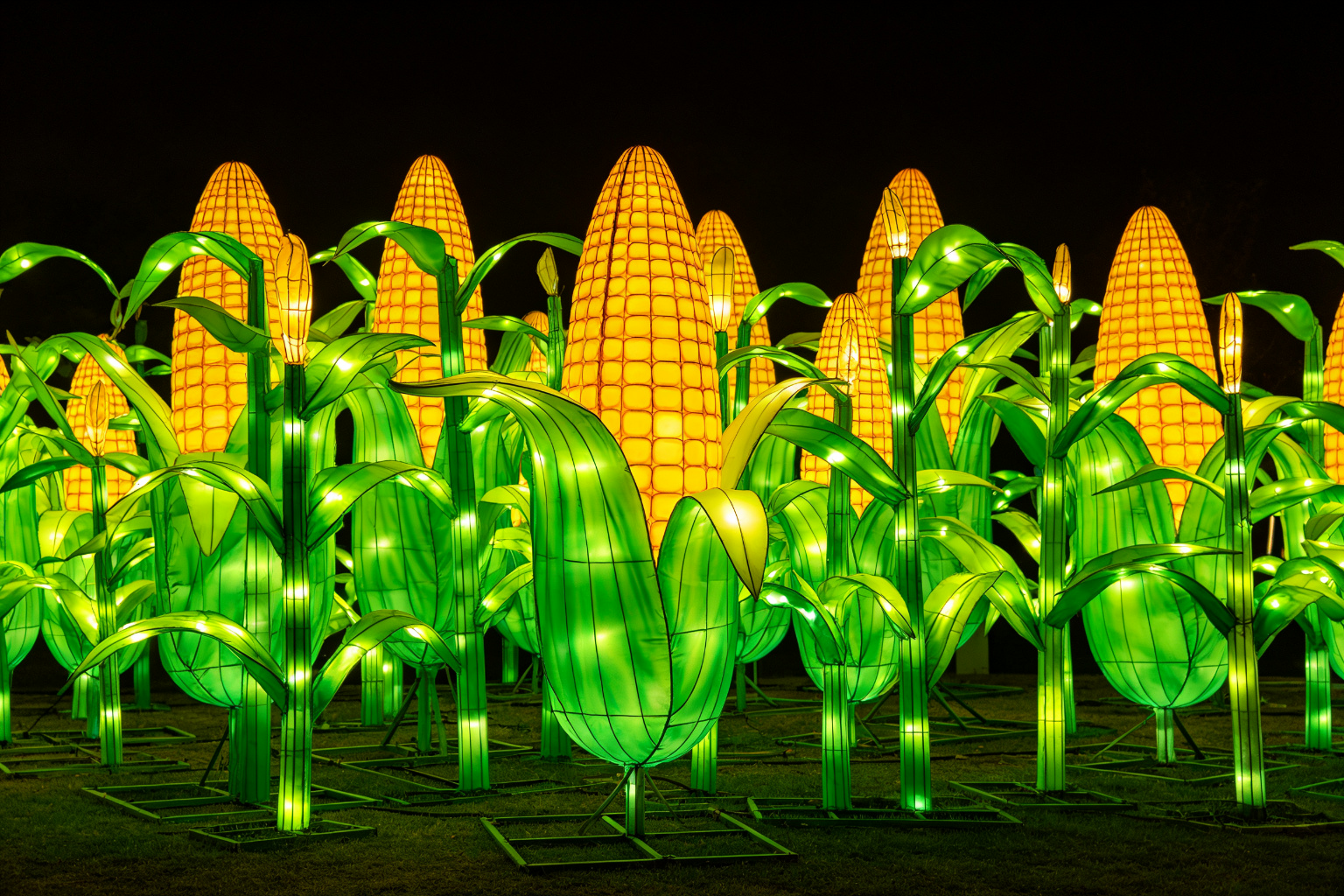 Corn Stalks Lantern Display (ZD-087) - Plant & Flower Lanterns by Zedong, dimensions 150x100x350cm