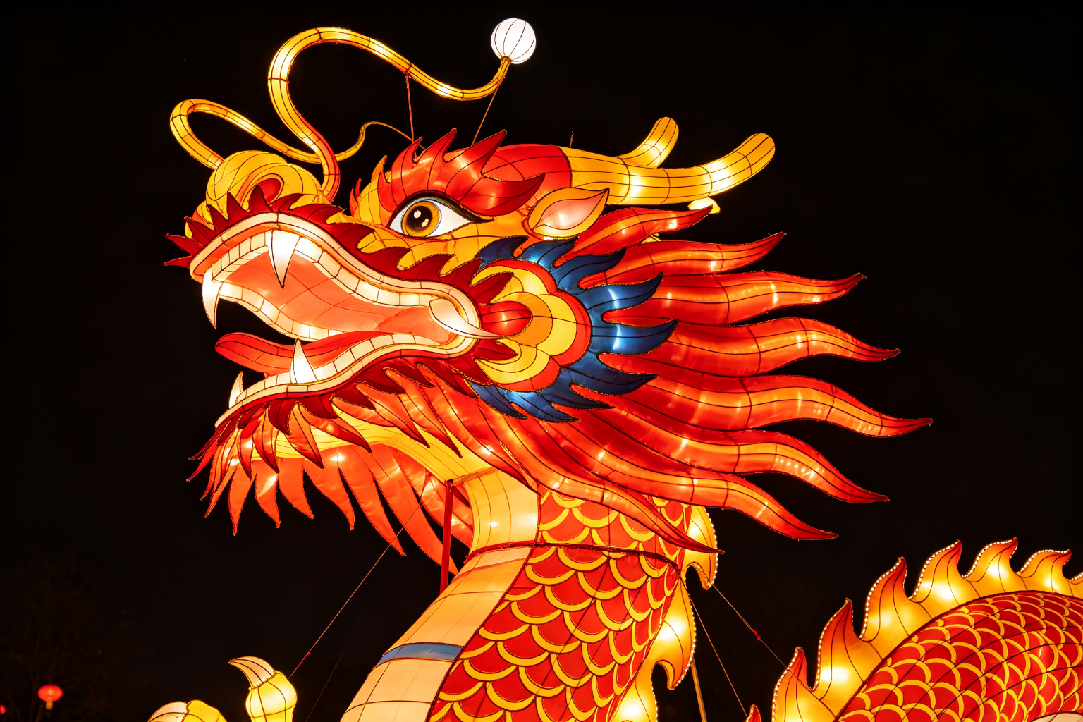 Chinese New Year Dragon Lantern Display (ZD-119) - Festival & Holiday Lanterns by Zedong, dimensions 600x120x300cm
