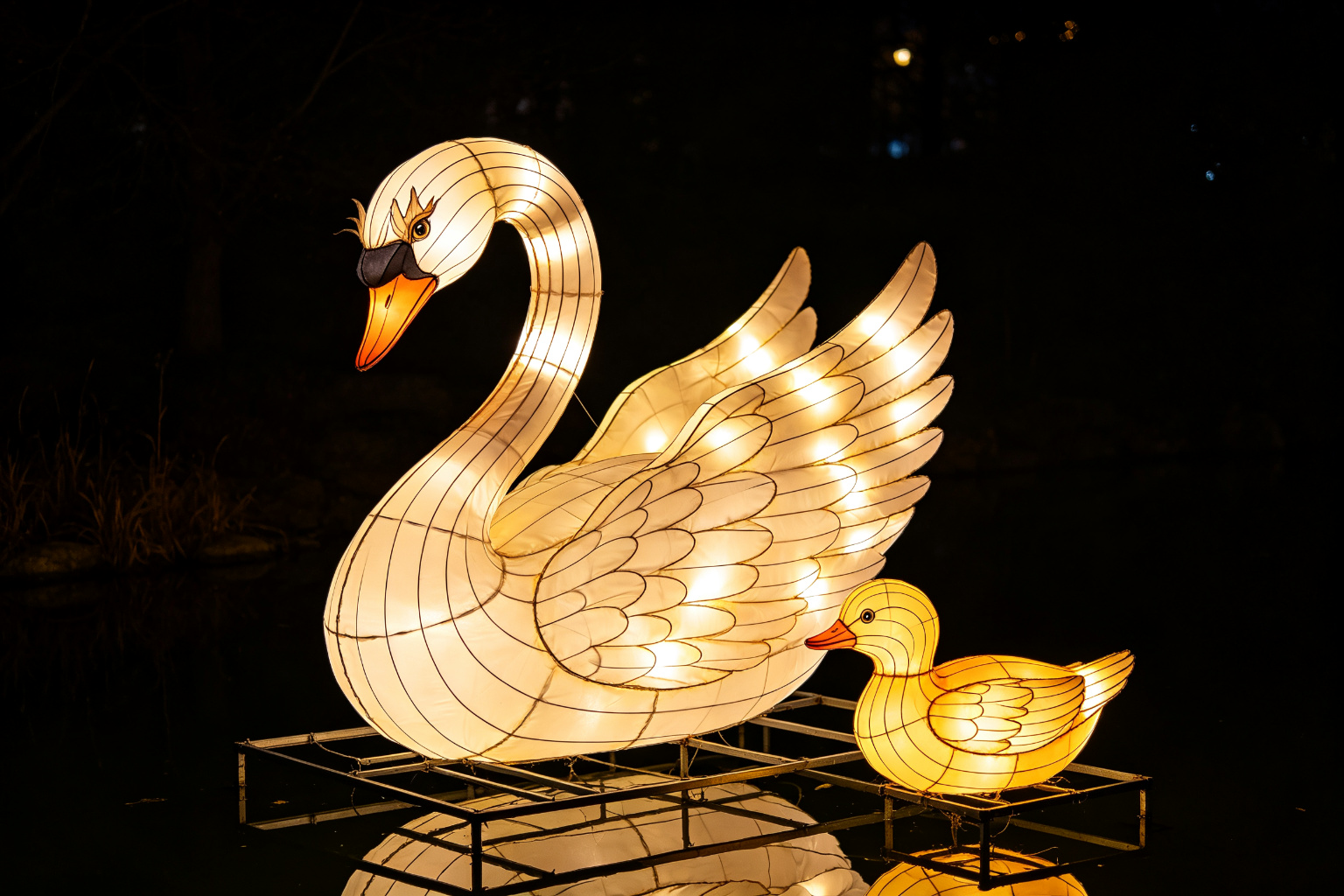 Ugly Duckling Lantern Display (ZD-195) - Fairy Tale Lanterns by Zedong, dimensions 250x150x250cm